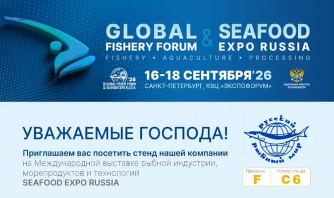 Снимок экрана 2026-08-25 165600.jpg